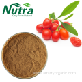 Organic Goji Berry Wolfberry Extract